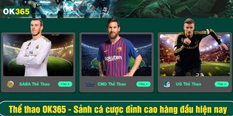 Tổng quan sân chơi thể thao OK365